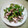 ポニーリボン's cooksnap of when they made 簡単おいしい♪ピーマンとしめじの梅いため.
