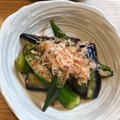 maik0n♡'s cooksnap of when they made 【簡単・時短】ナスとオクラの煮浸し.