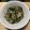 銀の玉三郎's cooksnap of when they made 超簡単！チンゲンサイの中華風.
