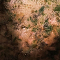 ☆さっとん♪☆'s cooksnap of when they made ツナと塩昆布の簡単炊き込みご飯.