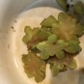 トカちゃん's cooksnap of when they made ブロッコリーの芯の和え物(ザーサイ風).