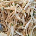 お願いひつじ's cooksnap of when they made ステキな脇役♪もやしのネギ味噌和え.