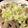 らーわん's cooksnap of when they made ねぎ塩だれで作る豚角切り炒め.