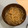 sio2ois's cooksnap of when they made もやしとバターのおみそしる.