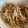 ayudona's cooksnap of when they made もやしの焼きそば粉ソース炒め.