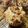 クックVD7KHZ☆'s cooksnap of when they made 小麦粉不使用☆おからパウンドケーキ♪.