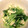 とよすみもも♪'s cooksnap of when they made 油揚げと水菜の白だし煮.