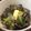 きぬぬ's cooksnap of when they made あさりとキャベツの酒蒸し.