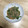 MAYUわんこ's cooksnap of when they made 【屋台風】ニラと豚もやしのオイソ炒め.