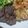 2児ママ's cooksnap of when they made 簡単★ステーキ　バターしょうゆソースで♪.