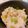 クック9YTVAJ☆'s cooksnap of when they made 元祖！深川飯！ばかがいの炊込み御飯.