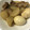 クック1XUNJX☆'s cooksnap of when they made コーラで豚の角煮！大根&ゆで卵を一緒に!.