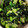 た。そ。's cooksnap of when they made 枝豆とほうれん草とクリームチーズの和え物.