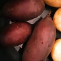 ☆まりもキッチン☆'s cooksnap of when they made 【炊飯器で簡単】焼きいも.