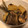 横国系やきう女子's cooksnap of when they made 簡単和食☆さんま大根☆しょうが煮.
