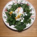 横浜まりん's cooksnap of when they made 手作り温泉卵♪ほうれん草のシーザーサラダ.