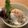 ＭＩＭＩＤＥＬＴＡ's cooksnap of when they made 【簡単・本格】ハワイアン★ロコモコ.