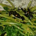 こびぃ。's cooksnap of when they made 豆苗と塩昆布のナムル.