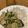 クック2Q10JU☆'s cooksnap of when they made 私流グリーンカレー★ペースト使用コツあり.