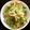 aki☆♪'s cooksnap of when they made レタスと卵のさっと炒め♪レタスシャキふわ.