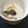 クックUL8OCM☆'s cooksnap of when they made 簡単朝食！豆乳ヨーグルトバナナスムージー.