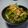 ブルーポピィ's cooksnap of when they made 大根と水菜のサクシャキサラダ.