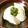 ＊実月＊'s cooksnap of when they made ネギ塩冷奴.