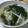 はちれ's cooksnap of when they made ネギ塩＊わかめスープ.