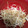 al004's cooksnap of when they made 簡単！残った粉末スープでもやし炒め！.