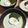 朋愛t's cooksnap of when they made 抹茶ソースで食べる抹茶プリン.