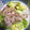 ちゃぎー's cooksnap of when they made みょうがときゅうりの豚しゃぶサラダ.