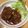 あんずめろ's cooksnap of when they made ニンニクが決め手!赤ワインの簡単♪うま～い煮込みオレンジハンバーグ.
