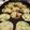 toshio39's cooksnap of when they made BRUNOホットプレートで！簡単ミニピザ.