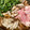 rizringo's cooksnap of when they made 鶏肉とごぼうと芹と舞茸の鍋.