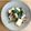 Giant corn's cooksnap of when they made あさりと小松菜のにんにくオイル蒸し煮.