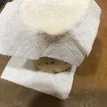 ねおみ's cooksnap of when they made やまいも保存.