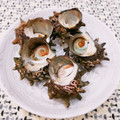 Satoco❋'s cooksnap of when they made サザエの塩ゆで処理.