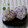 _mochi_'s cooksnap of when they made 簡単！ゆかりとチーズのおにぎり.