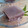 にゃんがす's cooksnap of when they made ゆで小豆缶とアガーで簡単♪水ようかん.