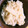 野良犬さん's cooksnap of when they made 定番　たけのこご飯.