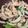 minaa5's cooksnap of when they made 豚肉とほうれん草の味噌ダレ炒め.
