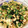 クックMHTLBD☆'s cooksnap of when they made 調理師さんの節約！春雨炒め.