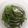 クック14EXMO☆'s cooksnap of when they made ワラビのアク抜き.