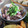 ちゃんねるゆみ's cooksnap of when they made 長いものゆかり和え♪.