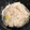 ままゆこ's cooksnap of when they made 定番　たけのこご飯.