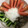たろ251's cooksnap of when they made 超簡単！洗い物少☆きゅうりの白だし漬け.