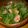 3mamakuma's cooksnap of when they made ポパイのサラダ.
