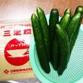 ひろみっチ's cooksnap of when they made きゅうりのカラシ漬け 関西人作.