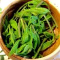 もい☆きち's cooksnap of when they made 山菜・木の芽(コシアブラ)おひたし♪春味.