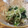 ころぽんたん's cooksnap of when they made ほうれん草と水菜のゴマナムル.
